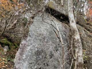 石上登山道