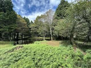 中津山