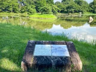 大覚寺　大沢池と菊島