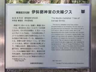 伊弉諾神宮　夫婦クス