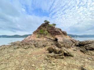 奄美大島 久場立神 千年松跡地