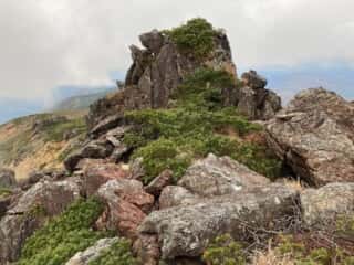 早池峰山 登山道