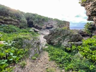 徳之島 みやどばる (犬田布海岸)