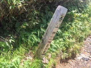 砂防新道 登山道