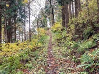 真山登山道