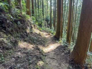 四国八十八ヶ所霊場 第21番札所 太龍寺〜第22番札所 平等寺