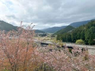 いやしの宿八丁坂〜四国八十八ヶ所霊場 第46番札所 浄瑠璃寺