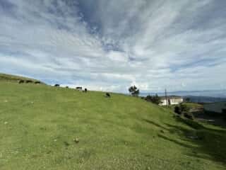 旭ヶ丸・大川原高原