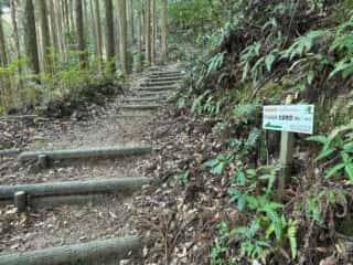 四国八十八ヶ所 20番札所 鶴林寺〜21番札所 太龍寺