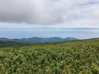 羅臼岳からの景色