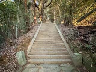 八倉比賣神社