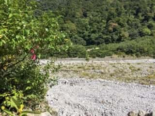 大山登山道