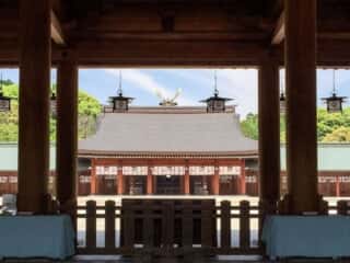 内拝殿　橿原神宮
