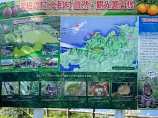 奄美大島 戸円ふれあいパーク