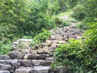砂防新道 登山道