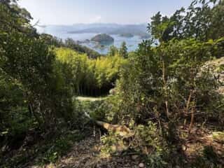 竹ケ島頂上整備工事