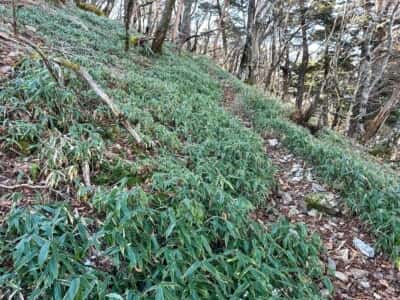 一ノ森・槍戸山