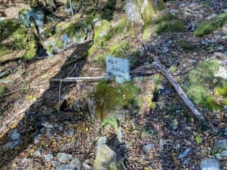 剣山 祖谷川源流の谷