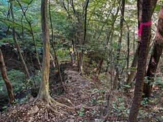 妙義山 登山道