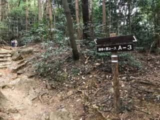 筑波山登山道