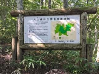 大山登山道