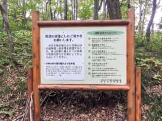 白神岳登山道