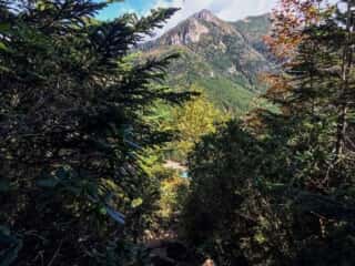 権現岳登山道