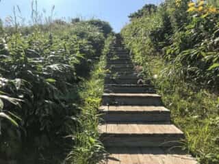 積丹岬自然公園遊歩道