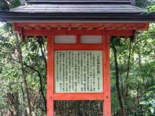 宇佐神宮社叢