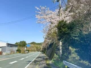 四国八十八ヶ所霊場 第43番札所 明石寺〜伊代大洲駅