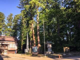出羽三山神社 境内