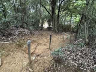 八倉比賣神社磐座