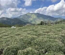 白髪山