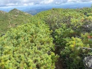 雄阿寒岳