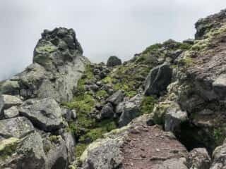 羅臼岳登山道
