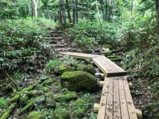 知床五湖 地上遊歩道