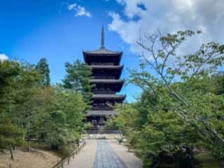 仁和寺　五重塔