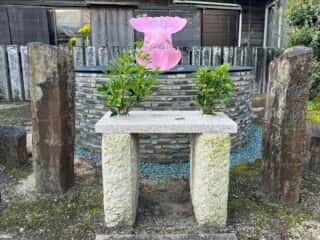 四国八十八ヶ所霊場 第17番札所 井戸寺