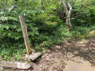 屏風岳・刈田岳 登山道