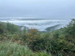 四国八十八ヶ所霊場 第11番札所 藤井寺〜第12番札所 焼山寺
