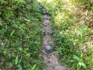 摩周岳登山道