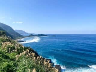 奄美大島 戸円ふれあいパーク