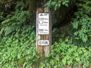 砂防新道 登山道