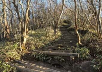 駒ケ岳 登山道