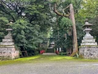金鑚神社 参道