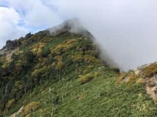 権現岳