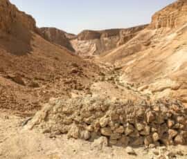 masada