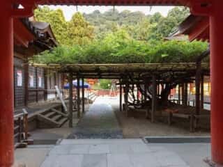 春日大社周辺の風景