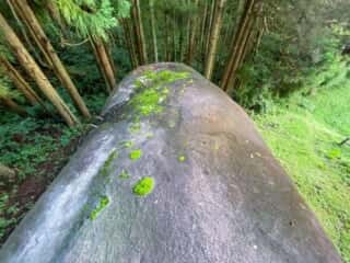 洞雲寺の大石を上から見る