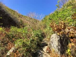岩木山登山道